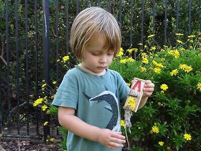 Bradenton pest control